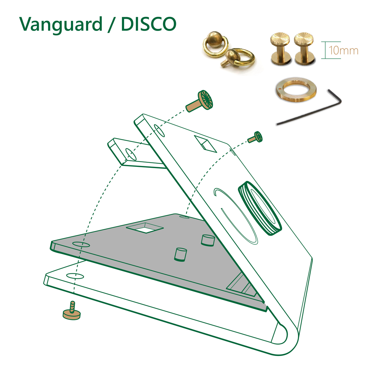 Brass Screws Set